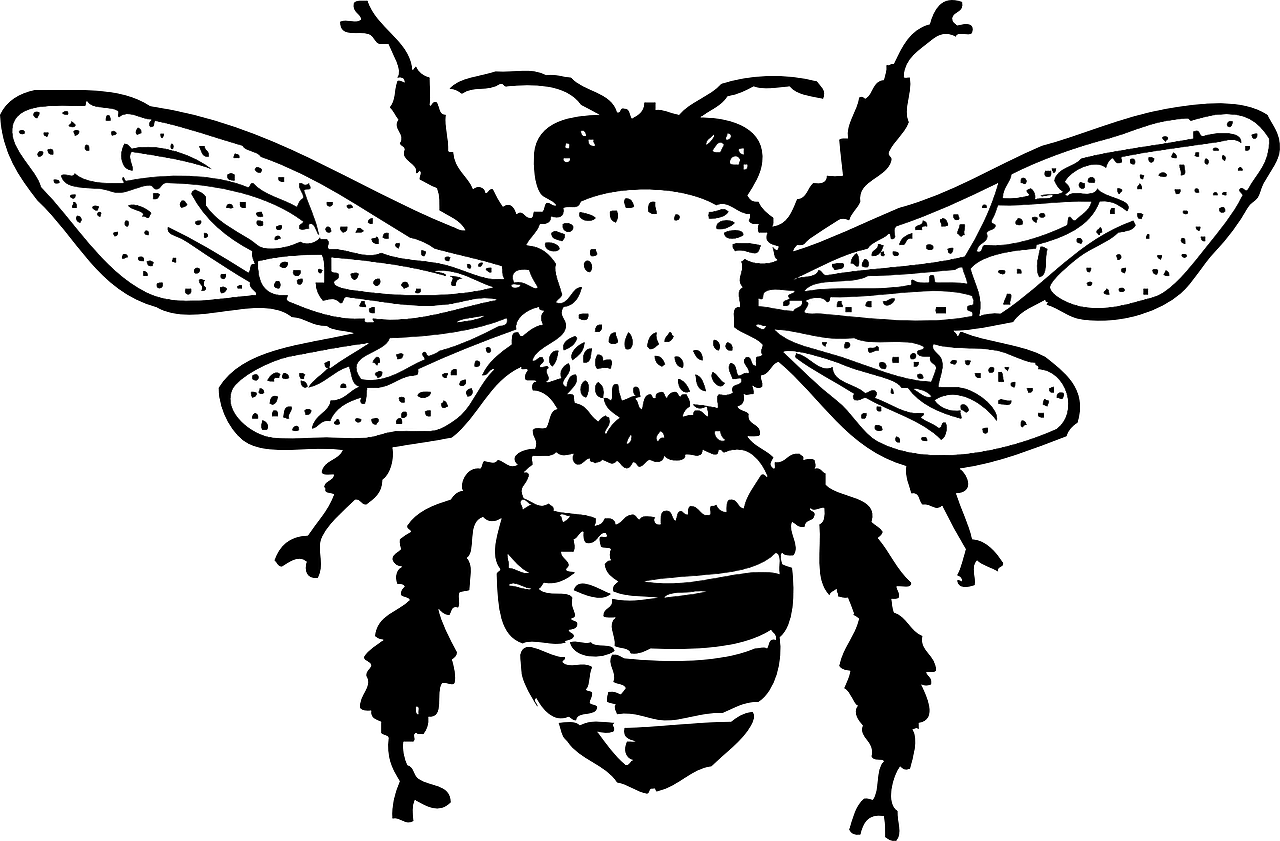 abeille